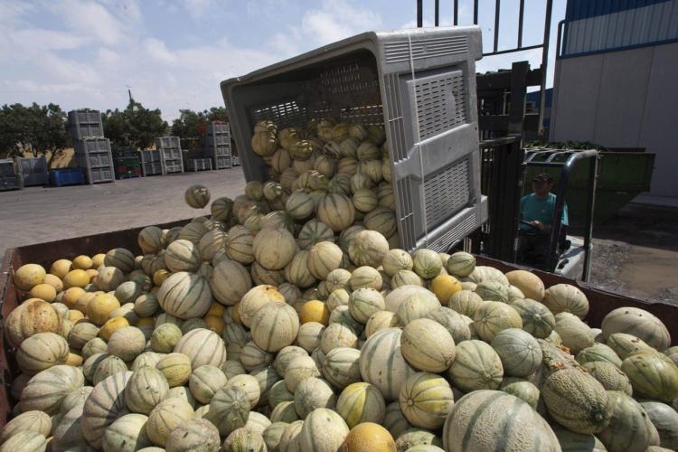 espagne : 25 tonnes de haschich dans un camion de melons du maroc vers la france