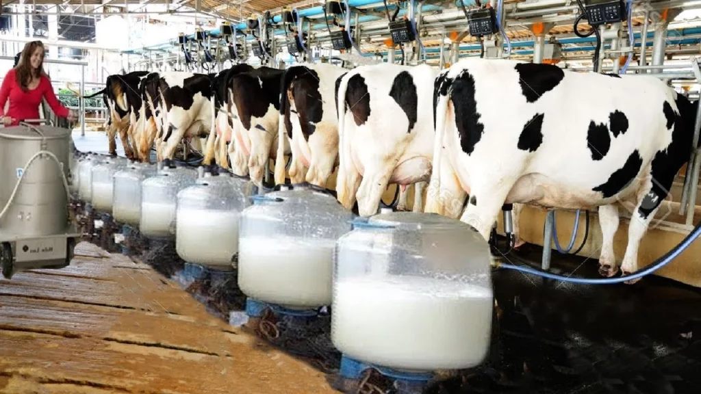alerta: novo vírus descoberto no leite. vírus da gripe aviária detetado em produtos lácteos nos eua