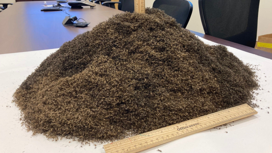 Fact Check: Photo Purportedly Shows 1 Million Dead Mosquitoes. Here
