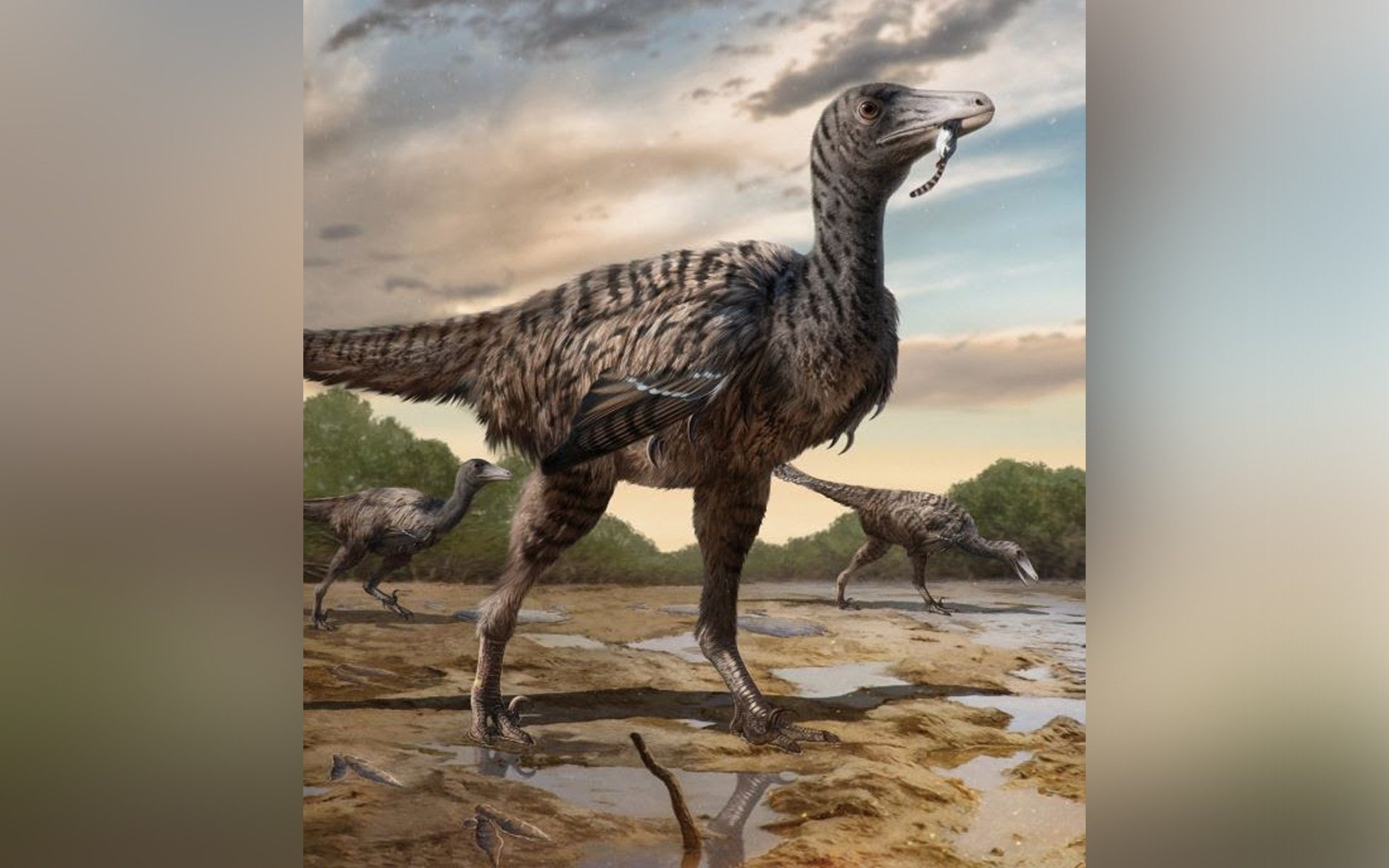 giant velociraptor bigger than jurassic park imaginings discovered