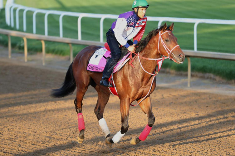 Pace picks up at Churchill Downs as Kentucky Derby post position draw looms