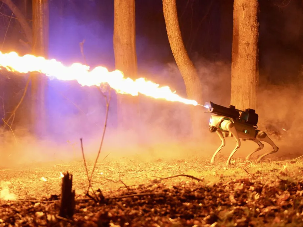 amazon, a flame-throwing robot dog is on sale for under $10,000