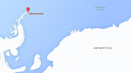 Airplane-Sized Seabird with Teeth Discovered in Antarctica