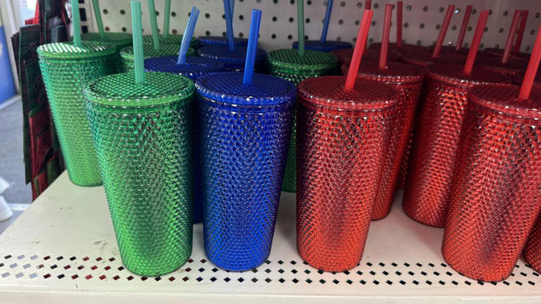 The Best New Thing to Buy at Dollar Tree This December