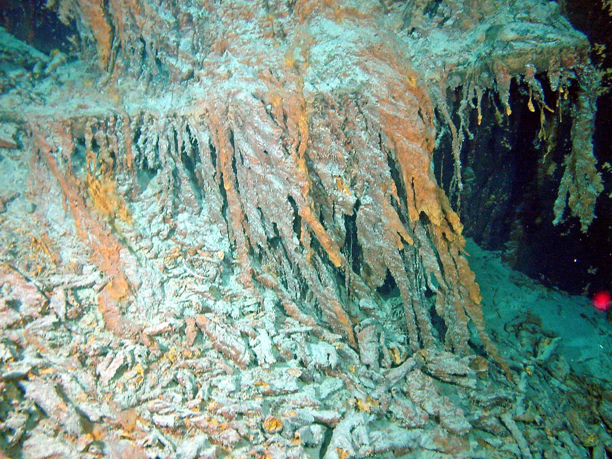 <p>One of the strangest pictures of the Titanic that is available today is that of the rusticles. These bacteria and archaea have taken over the metal hull of the ship. Best described as metal icicles, these rusticles have covered the hull but have also preserved some of the interior aspects of the ship. </p><p><span>Would you please let us know what you think about our content? <p>Agree? Tell us by clicking the “Thumbs Up” button above.</p> Disagree? Leave a comment telling us what you’d change.</span></p>