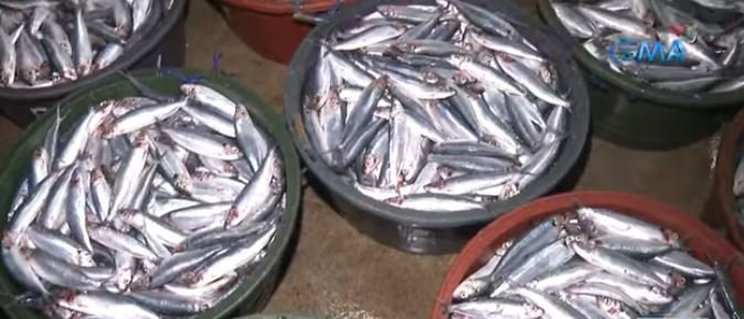 ph to import 25000 mt fish —da