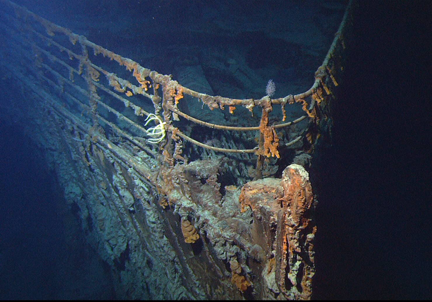 <p>One of the best-known pictures of the <a href="https://oceantoday.noaa.gov/titanicwrecksite/">Titanic wreckage</a> is that of its bow. For many people, this is also the location where a memorable fictional moment occurred in the <em>James Cameron</em> movie. Unfortunately, it’s also a stark look at the shape of the wreckage today. </p><p><span>Would you please let us know what you think about our content? <p>Agree? Tell us by clicking the “Thumbs Up” button above.</p> Disagree? Leave a comment telling us what you’d change.</span></p>