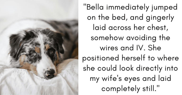 Devoted husband smuggles family dog into hospital for one last heartwarming visit with dying wife