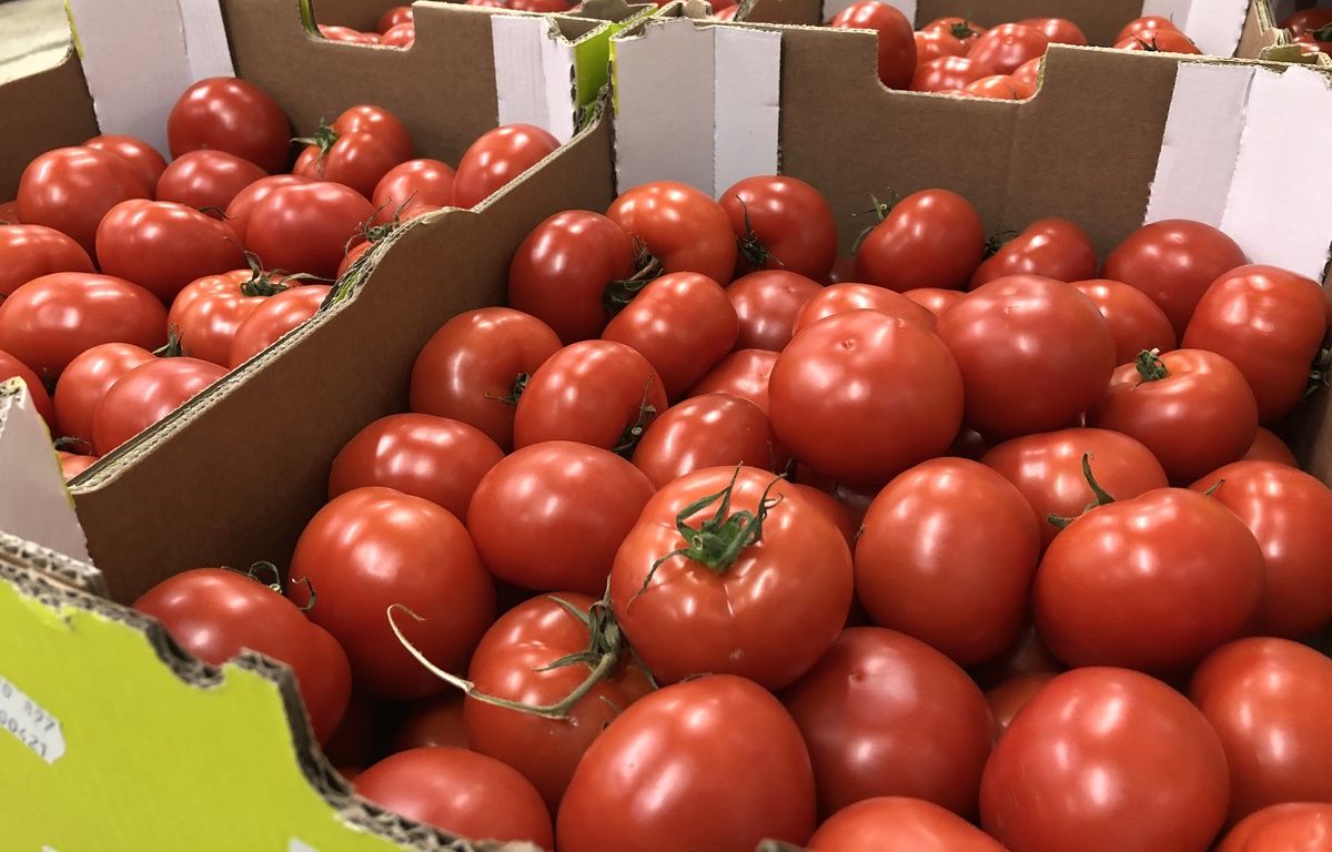 des agriculteurs français en pétard face aux tomates marocaines