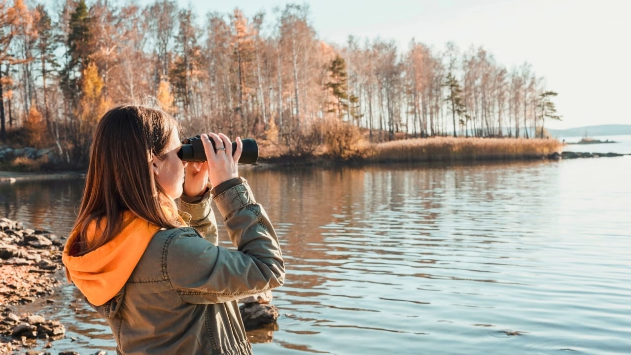 <p>If you’re inspired to observe some of the world’s largest flying birds in their natural habitats, here are some birdwatching tips to help you make the most of your experience:</p> <ul> <li>Choose the Right Equipment: A good pair of binoculars is essential for birdwatching. Opt for binoculars with a magnification of 8x or 10x. A spotting scope mounted on a tripod is also helpful for viewing birds over long distances without disturbance.</li> <li>Learn to Identify Birds: Familiarize yourself with the birds you intend to observe. Study their physical characteristics, behaviors, and habitats. Field guides and birdwatching apps can be invaluable tools for quick identification and additional information.</li> <li>Best Times for Birdwatching: Early morning or late afternoon is usually the best for birdwatching, as birds are most active during these periods. Be mindful of the season, as some birds may only be present in certain regions at specific times of the year due to migration patterns.</li> <li>Dress Appropriately: Wear clothing that blends into the environment, such as greens, browns, and other neutral colors. Avoid loud colors and white, which can startle birds and other wildlife. Layer your clothing to adjust to changing weather conditions.</li> <li>Be Patient and Quiet: Birds are easily disturbed by noise and sudden movements. Move slowly and keep your voice low or silent. Patience is key; finding and observing birds can take time.</li> <li>Respect Wildlife and Habitat: Stay on designated paths and trails to minimize impact on the habitat. Avoid approaching nests or feeding areas too closely, as this can stress the birds.</li> <li>Use a Birdwatching Diary: Record the birds you see, noting the date, location, and conditions. This not only enhances your birdwatching experience but also helps you learn and remember the characteristics of different species.</li> <li>Join a Birdwatching Group: Participating in group outings with experienced birdwatchers can enhance your skills and offer opportunities to share knowledge and experiences.</li> <li>Contribute to Citizen Science: Many organizations use data collected by amateur birdwatchers for research and conservation (<a href="https://www.sciencedirect.com/science/article/pii/S205371662200041X" rel="noopener">ref</a>). Participating in bird counts or documenting bird sightings can contribute valuable information to scientific studies.</li> <li>Ethical Bird Photography: If photographing birds, ensure your actions don’t harm the bird or its habitat. Use appropriate lenses that allow you to maintain a safe distance, and never use artificial means to attract birds.</li> </ul> <p>By following these tips, you can enjoy birdwatching responsibly while helping to conserve some of the planet’s most impressive birds.</p>