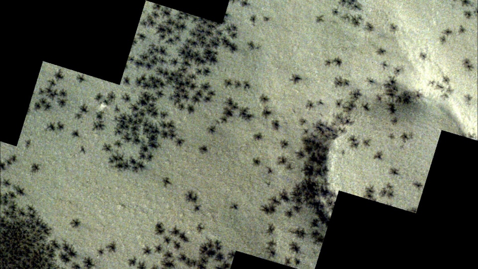 are there spiders on mars? esa unveils truth behind the mysterious clusters seen on the red planet