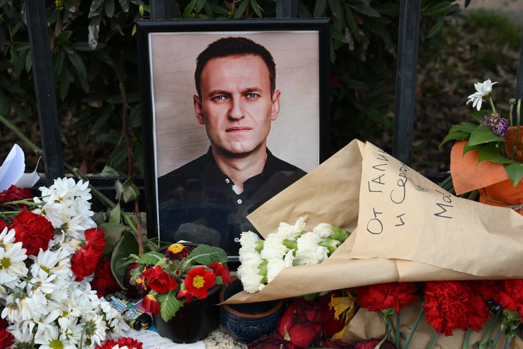 mort de navalny: poutine n'aurait pas commandité la mort de l'opposant selon le wall street journal