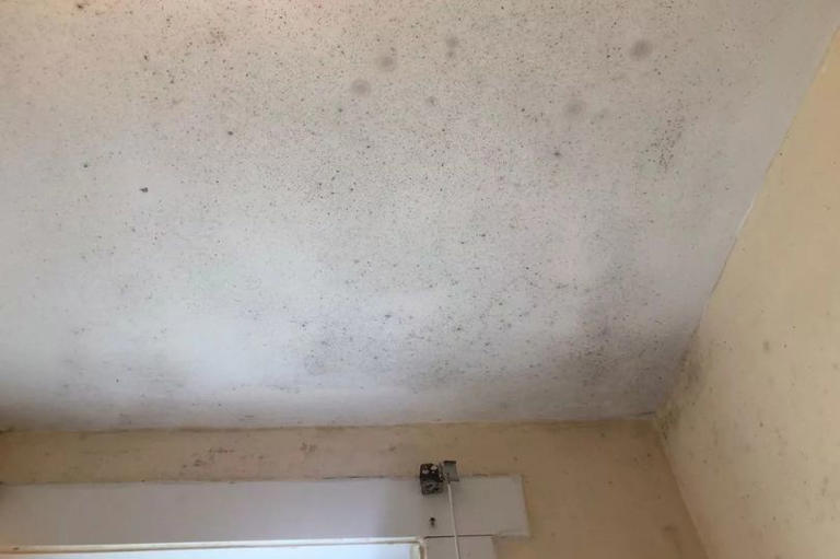 Family fear for health in Glasgow flat riddled with damp and 'black mould'