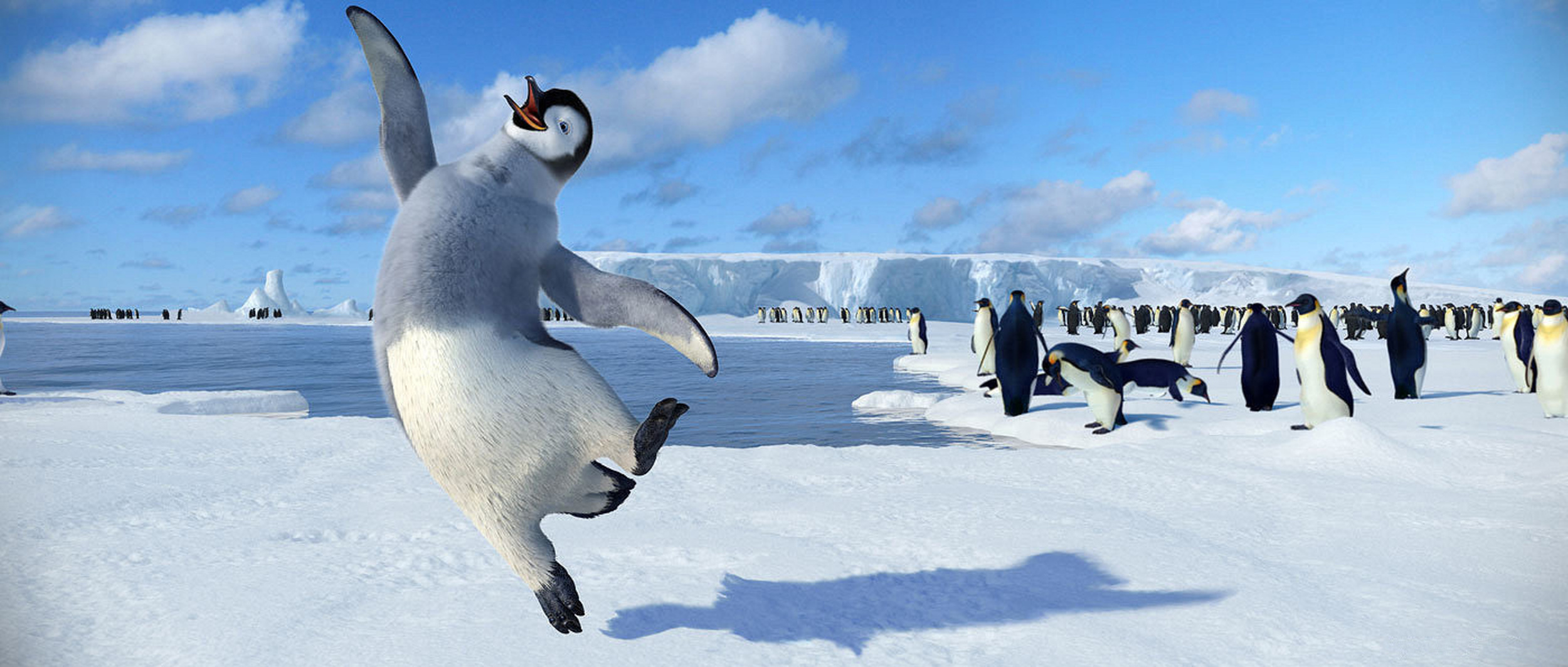 <p><span>Being an adorable penguin that dances will never hurt one’s appeal to the masses.</span></p><p><a href='https://www.msn.com/en-us/community/channel/vid-cj9pqbr0vn9in2b6ddcd8sfgpfq6x6utp44fssrv6mc2gtybw0us'>Follow us on MSN to see more of our exclusive entertainment content.</a></p>