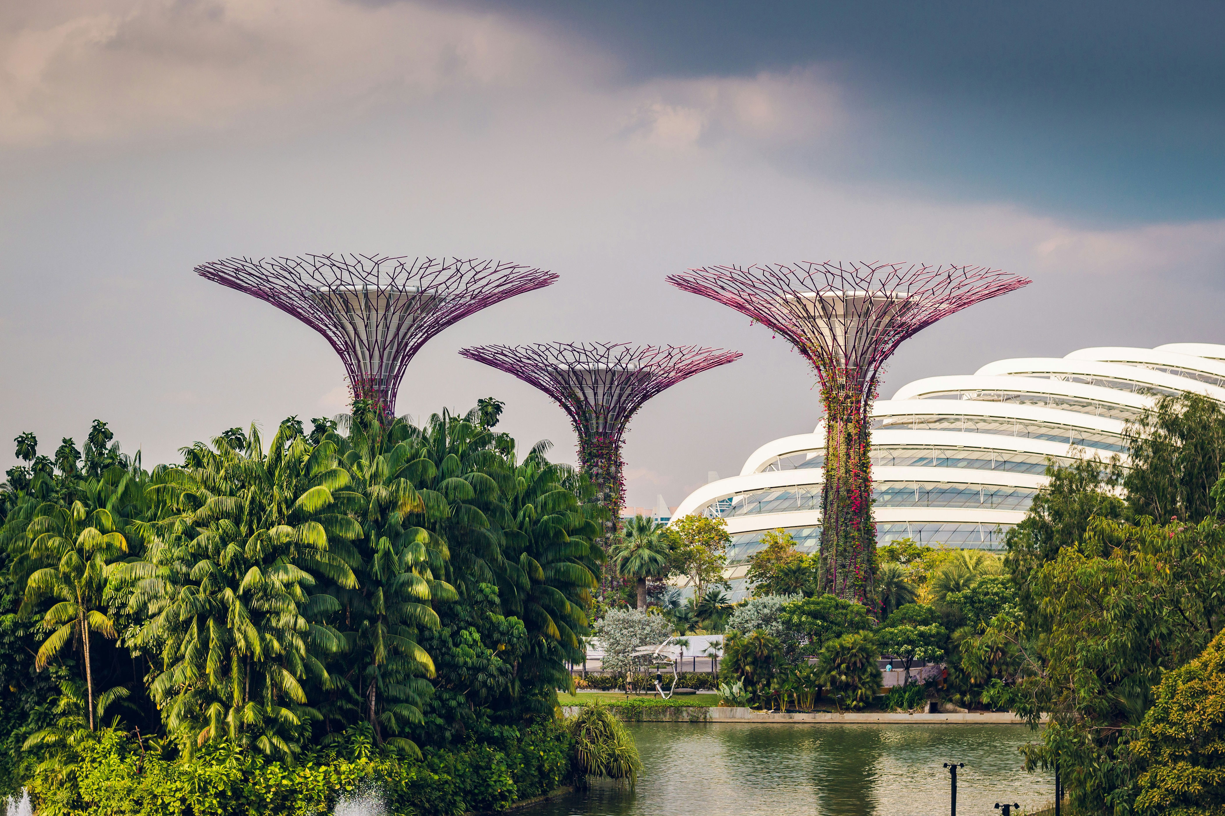<p><a href="https://www.cntraveler.com/destinations/singapore?mbid=synd_msn_rss&utm_source=msn&utm_medium=syndication">Singapore</a> is a city and a nation rolled into one on an island nearly the same size of New York City. As the third-most densely populated country in the world, well-designed transportation that can move millions is essential for this small nation.</p> <p>Singapore’s MRT (Mass Rapid Transit) currently has 6 lines with 140 stations and is scheduled to double in size by 2040. In a country of just over 5.5 million people, Singapore’s MRT carries an outstanding 3 million every day.</p> <p>The MRT’s trains are fast and predictable, running every 5 to 7 minutes most of the day and every 2 to 3 minutes during the morning rush. The MRT’s reach is complemented by the LRT, a light rail system with 2 lines and another 40 stops.</p> <p>With station signage and announcements in Singapore’s four official languages—English, Chinese, Malay, and Tamil—the MRT makes it remarkably easy to navigate without a car or a care. They have also installed protected walkways on every quarter-mile leading to every MRT station, making it easier to walk to transit, monsoon or shine.</p> <p><strong>How to experience it:</strong> Don’t miss Singapore’s breathtaking <a href="https://www.cntraveler.com/activities/singapore/gardens-by-the-bay?mbid=synd_msn_rss&utm_source=msn&utm_medium=syndication">Garden by the Bay</a> located at the MRT station with the same name on the Thomson–East Coast Line.</p><p>Sign up to receive the latest news, expert tips, and inspiration on all things travel</p><a href="https://www.cntraveler.com/newsletter/the-daily?sourceCode=msnsend">Inspire Me</a>