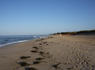 Billionaire forced to demolish Nantucket beach home<br><br>