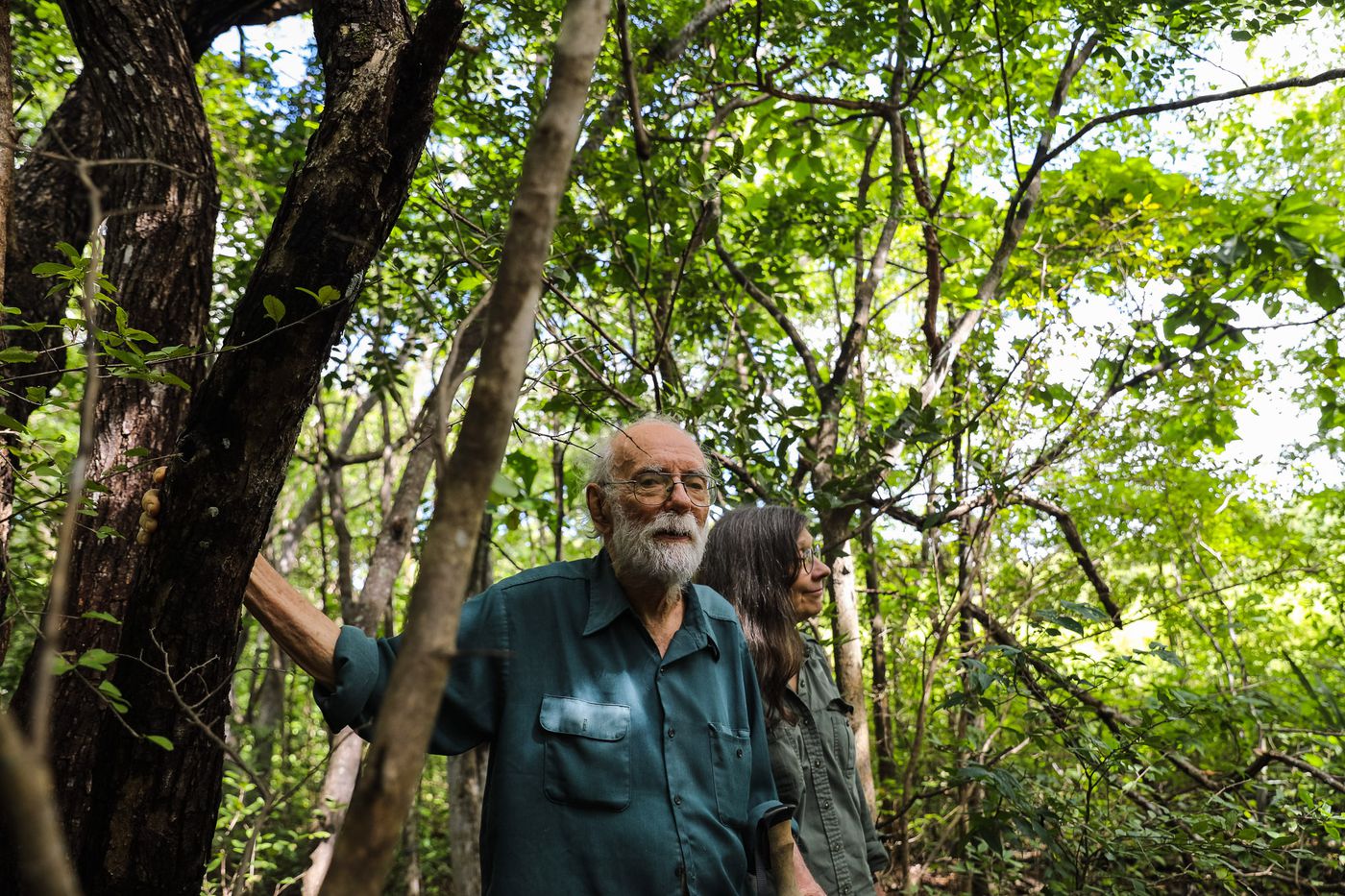 they turned cattle ranches into tropical forest — then climate change hit