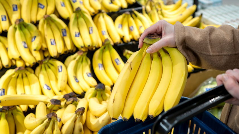 kokain hittat bland bananer i tyska mataffärer