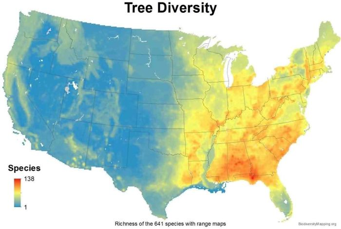 <p>This map shows how many kinds of tree species are available in a region. As you can see, on the left side, there’s not a lot of variety. On the other hand, the number can go up to 138.</p>