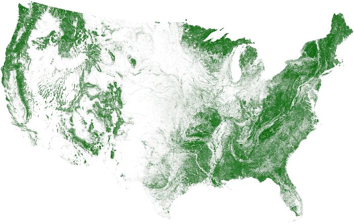 <p>This map shows the density of trees in the United States. The middle of the country is quite barren compared to the coastal areas.</p>