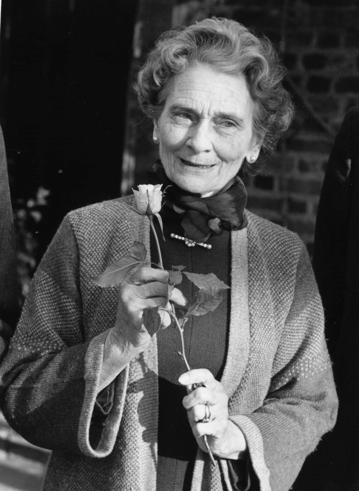 The junkyard gems of Desert Valley Auto Parts, Arizona