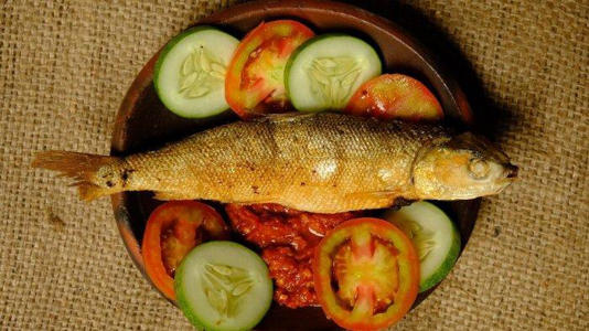 salah satu jenis ikan yang bagus untuk meningkatkan kecerdasan otak (Freepik/hilalmansur)
