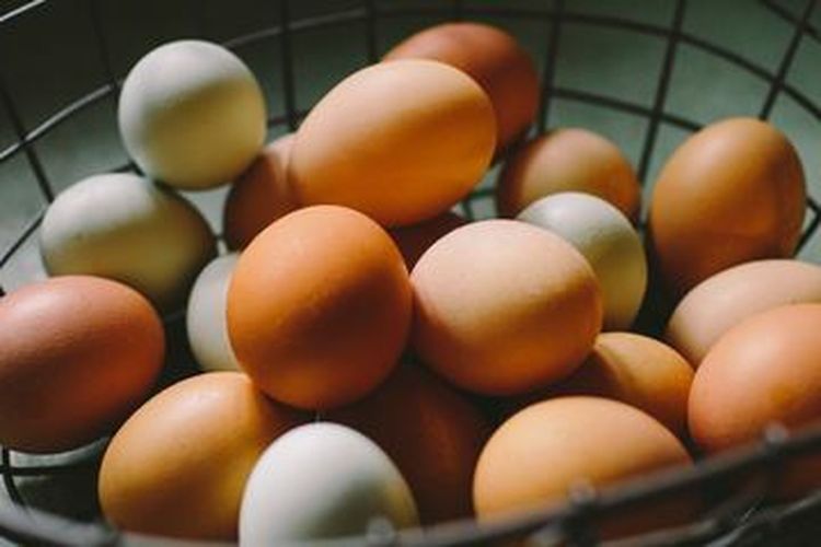 perbedaan telur ayam bercangkang coklat dan putih, lebih baik yang mana?