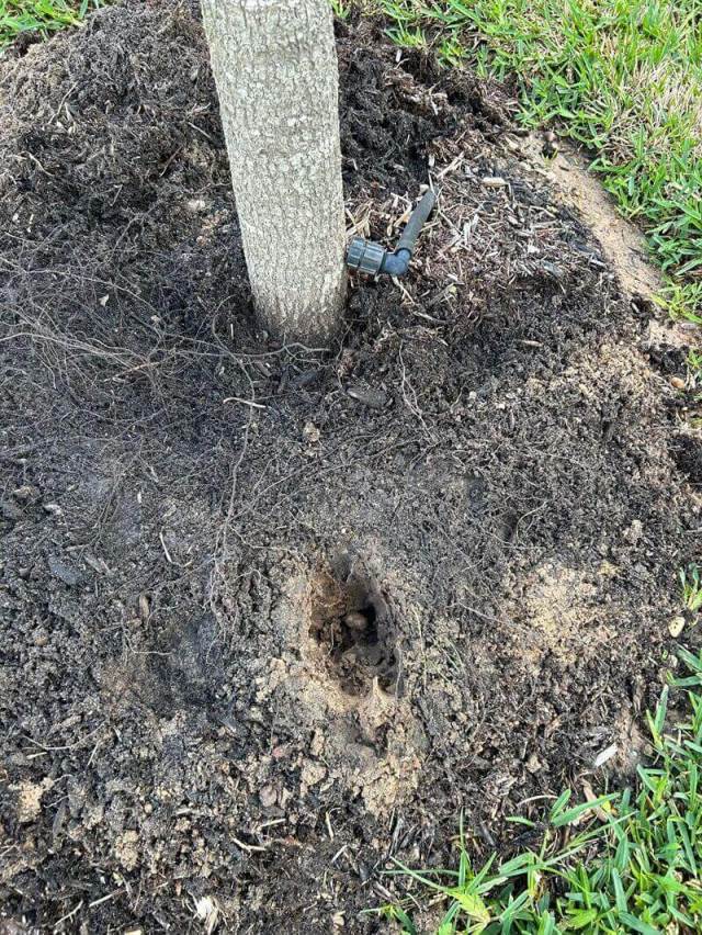 homeowner searches for solutions after learning about major landscaping mistake made by builder: 'i stopped shortly after finding this problem out of worry of causing damage'