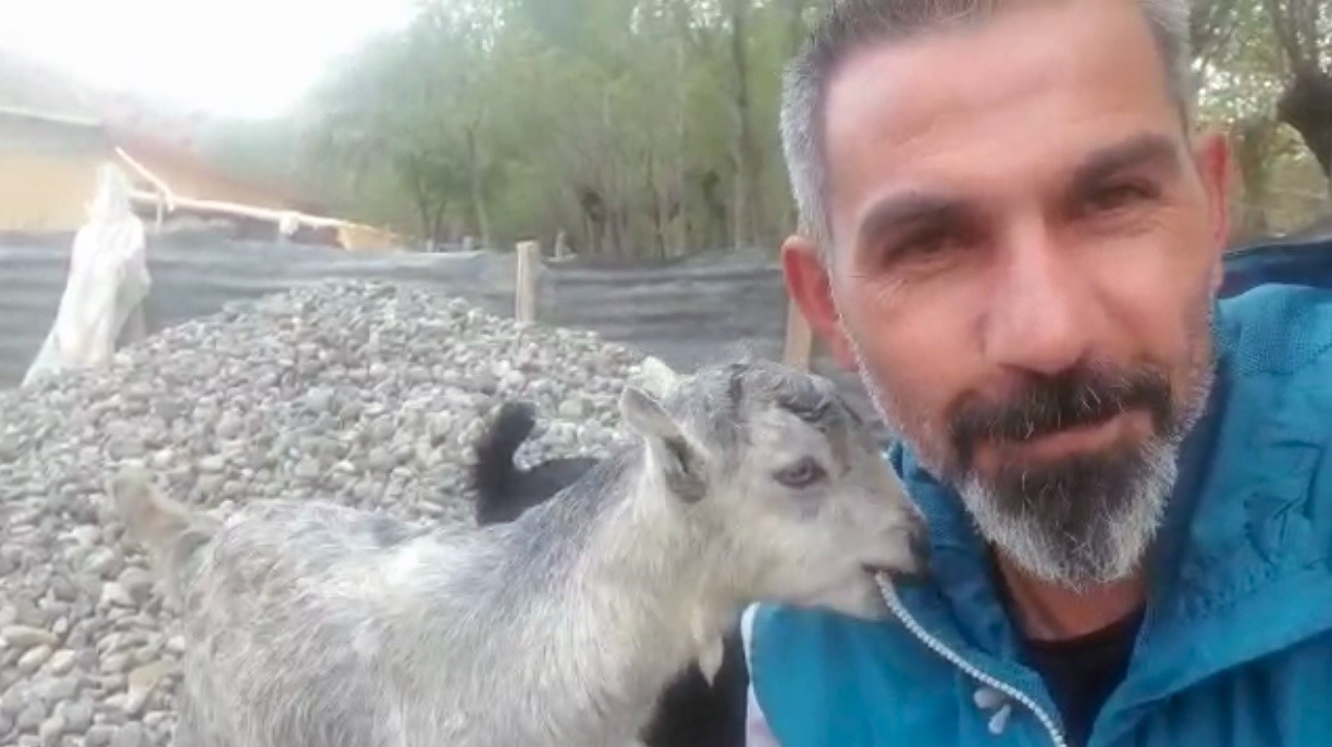 annesini ayı yiyen ve ölmekten gazeteci tarafından kurtarılan keçi yavrusu büyüdü