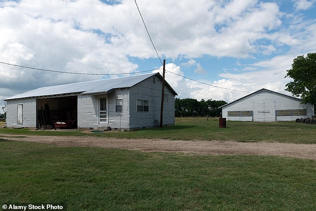 microsoft, texas ghost towns drained of life as fed-up locals flee the frontier
