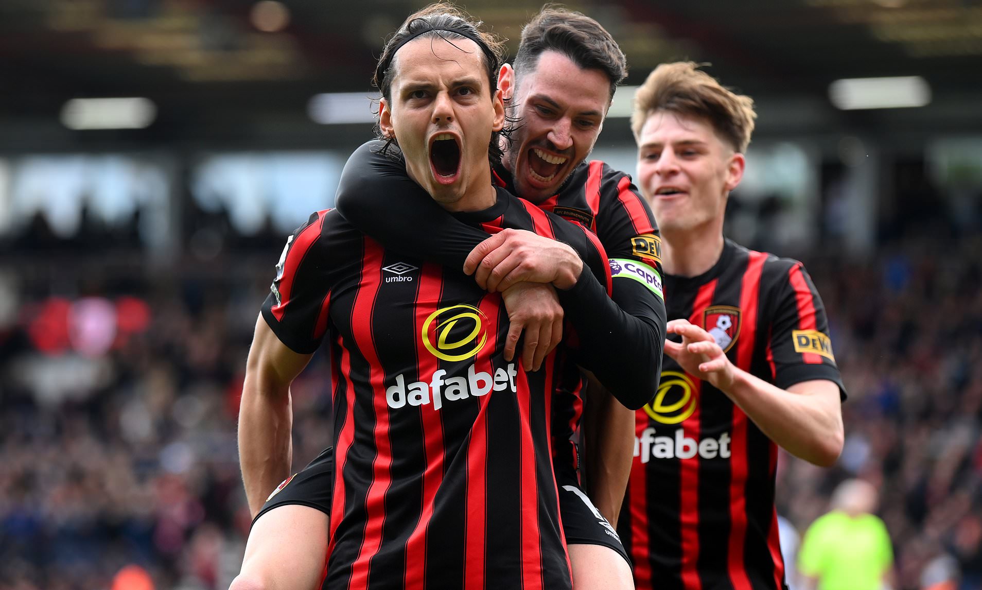bournemouth 3-0 brighton: cherries move into the top half of the table