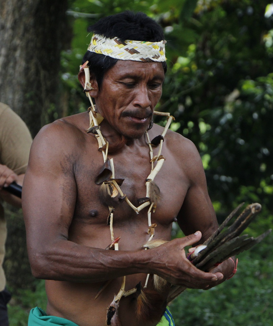 justicia de paz de colombia reconoce a resguardo indígena como víctima de reclutamiento