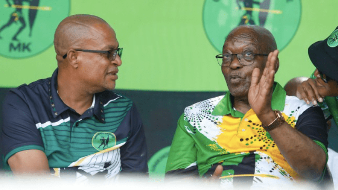 mk party founder wants zuma removed from ballot paper and candidate list