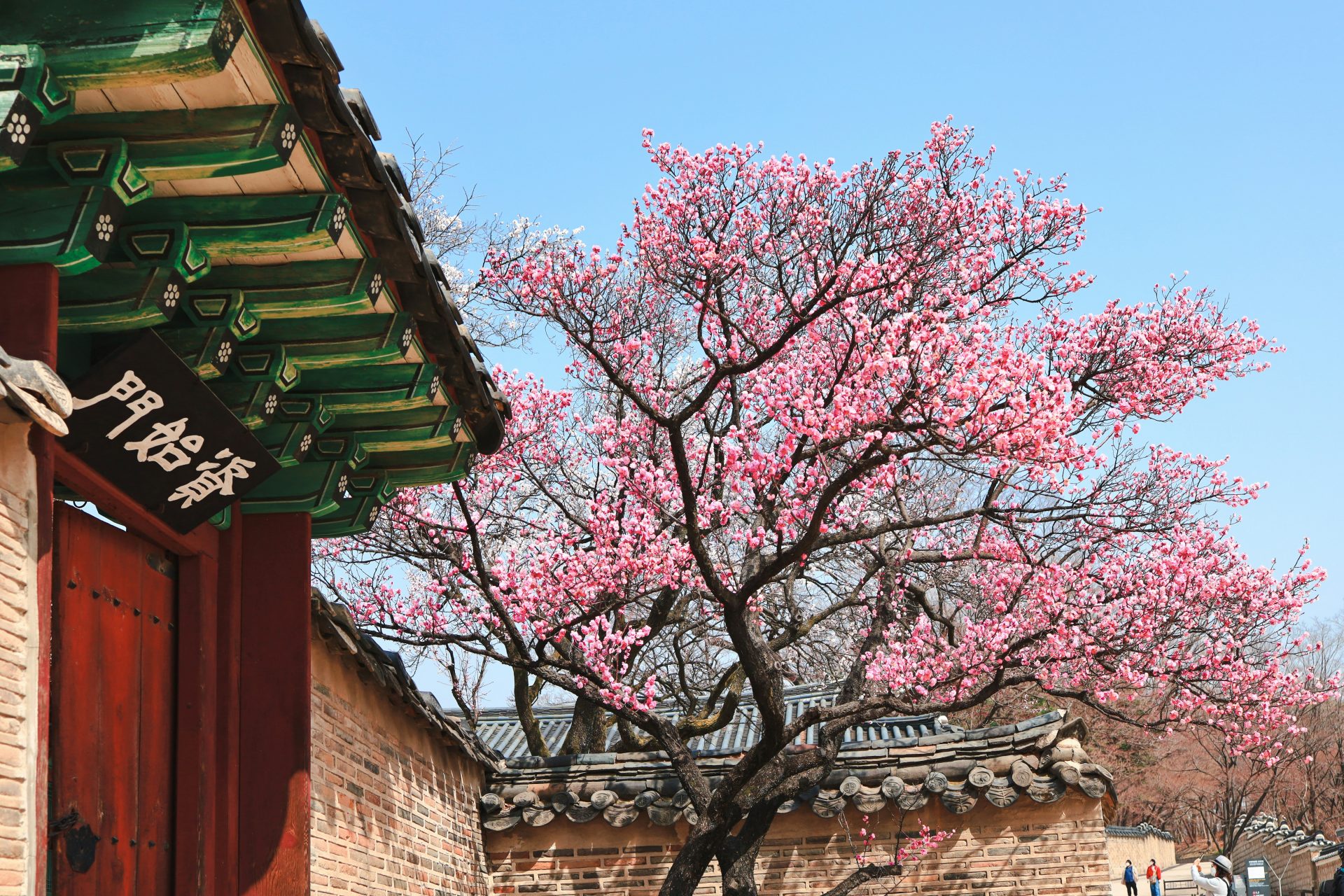 <p>In addition to the 13 historic buildings, the garden, which incorporates Korean landscaping techniques, is a major attraction.</p> <p>Image: Soyoung Han / Unsplash</p>