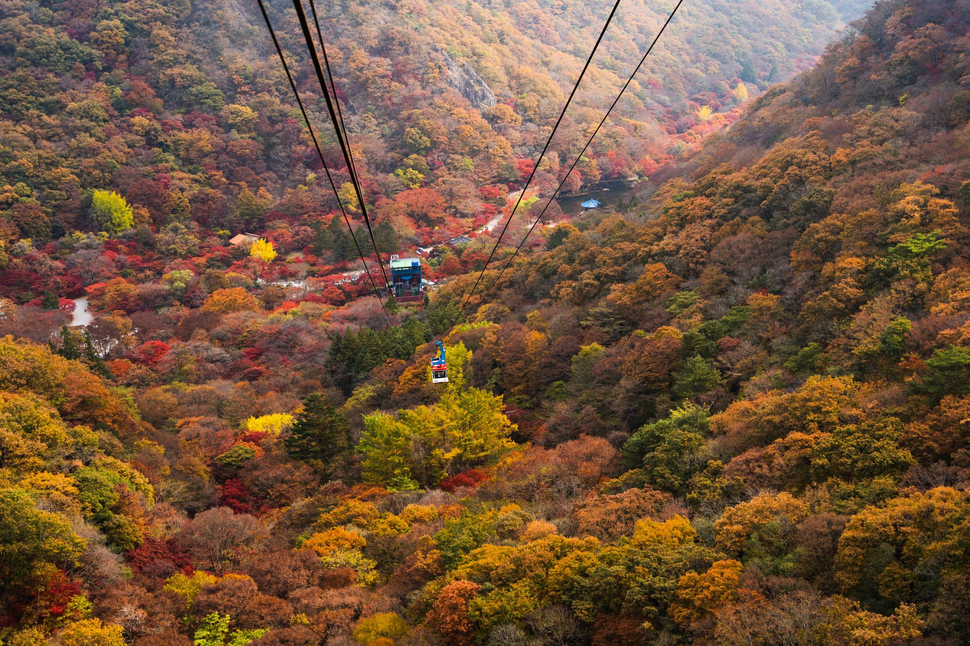 <p>If you are not confident in your physical strength, take the ropeway to the observation deck and enjoy the panoramic view of autumn leaves. Also, azaleas and cherry blossoms are in full bloom in spring.</p> <p><a href="https://www.msn.com/en-us/channel/source/Showbizz%20Daily%20English/sr-vid-w8hcuhvu3f8qr5wn5rk8xhsu5x8irqrgtxcypg4uxvn7tq9vkkfa?cvid=cddbc5c4fc9748a196a59c4cb5f3d12a&ei=7" rel="noopener">Follow Showbizz Daily to see the best photo galleries every day</a></p>