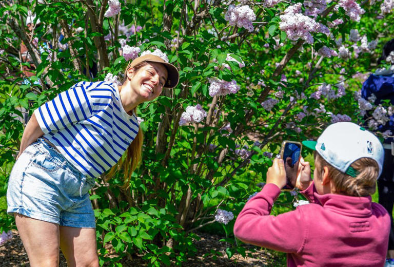 23 Best Free and Fun Things To Do in Boston May 2024 with Kids