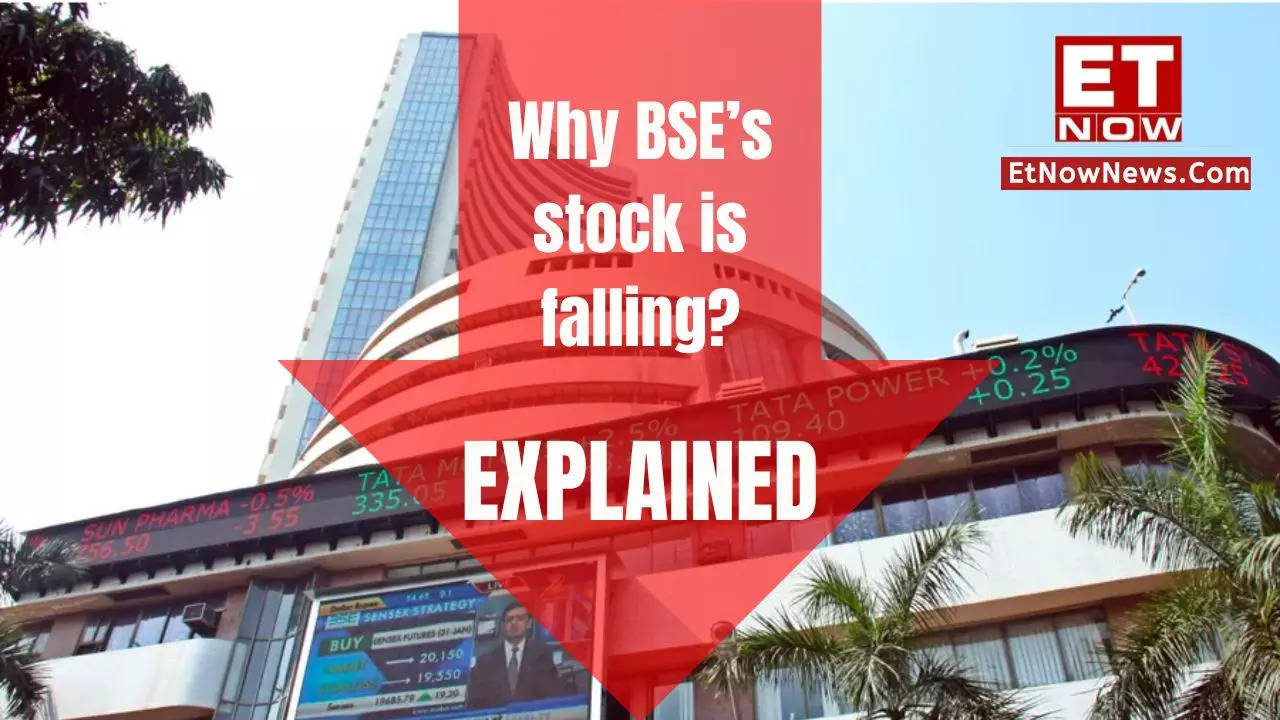 BSE Share Price Target 2024: Why The Stock Is Falling? Time To Exit?