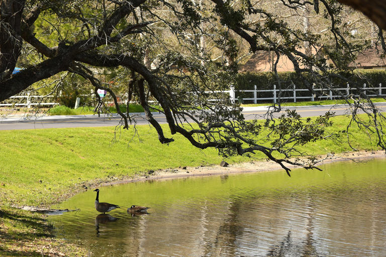 5 things to know about Sloop Point in Pender County
