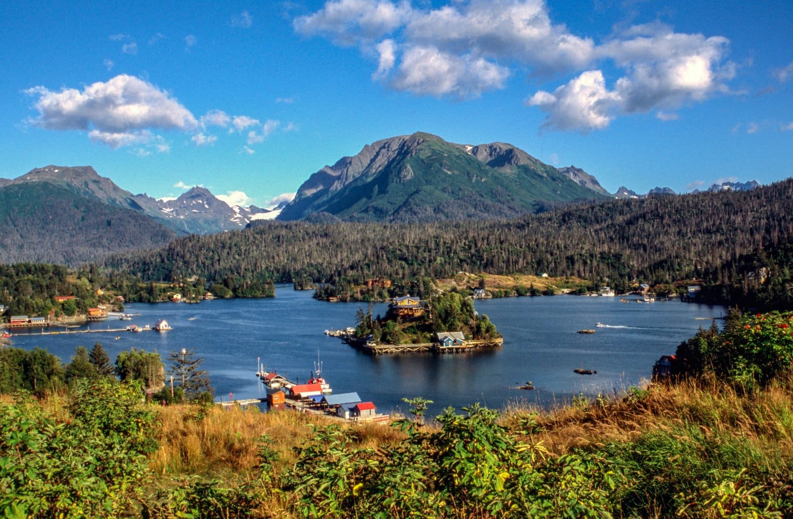 <p class="wp-caption-text">Image Credit: Shutterstock / CSNafzger</p>  <p><span>Homer, known as the “Halibut Fishing Capital of the World,” is a picturesque town on Alaska’s Kenai Peninsula. It’s celebrated for its stunning landscapes, including Kachemak Bay State Park and the Homer Spit, a long strip of land extending into the bay. Homer’s vibrant arts community, with galleries and studios, reflects the town’s creative spirit. Outdoor activities abound, from fishing and kayaking to bear viewing and hiking. The Alaska Islands and Ocean Visitor Center provides insights into local marine life and ecosystems.</span></p>
