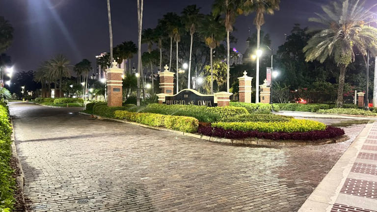 Baby found dead on University of Tampa campus, police investigating