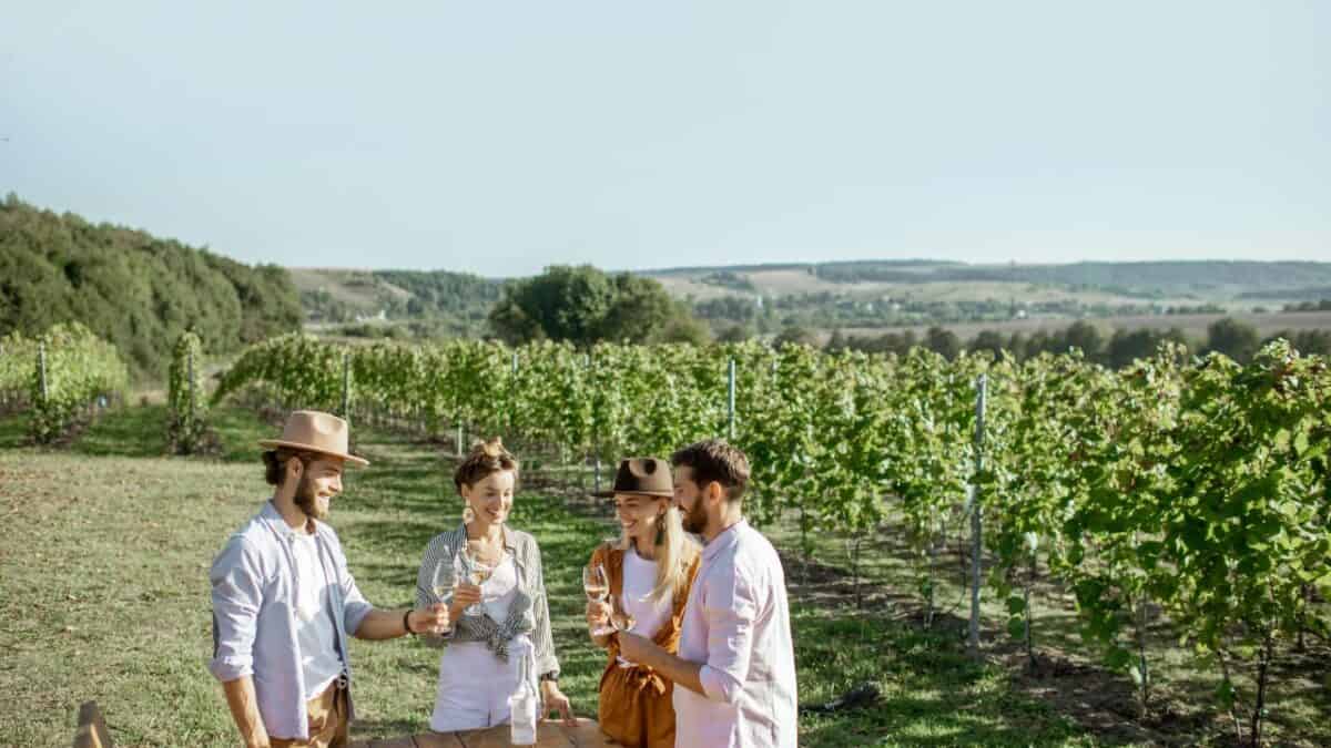 <p>This cozy winery is a delightful destination to explore. With 4 hectares of vineyards onsite and an annual production of less than 15,000 bottles of wine, they prioritize quality in every bottle they produce. Their range includes wines like Chianti Classico and Chianti Classico Riserva.</p><p>Being a family-run business, their passion for their products and service shines through. This is the place to be if you want to support a small, family-owned business while enjoying delectable wines.</p>