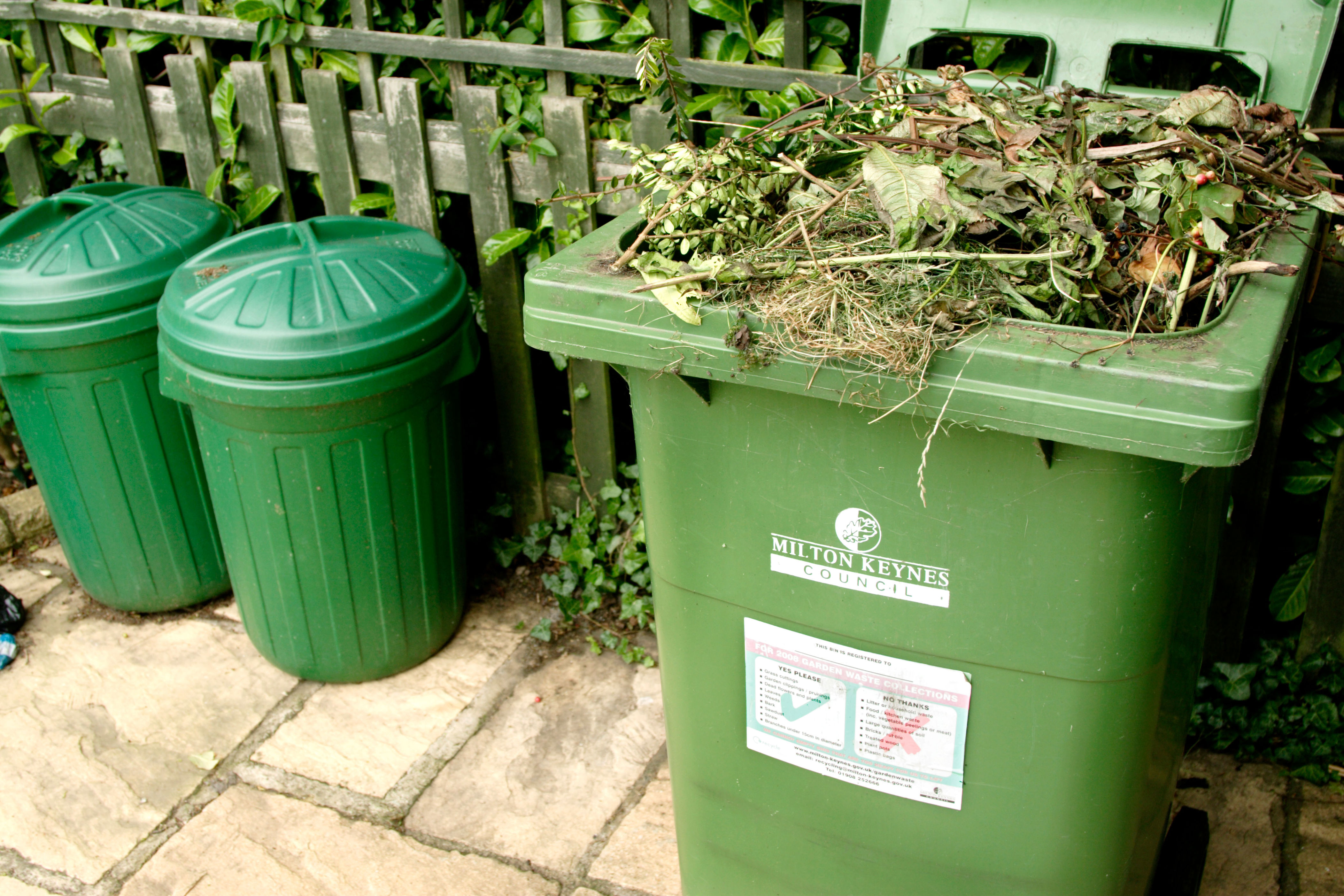 rhs: ‘chop and drop’ plant clippings to save time and money on compost