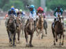 Looking back: Mage won 2023 Kentucky Derby on day marred by death of two horses<br><br>