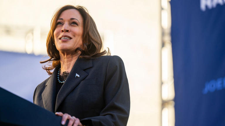 U.S. Vice President Kamala Harris speaks during a First In The Nation campaign rally at South Carolina State University on February 02, 2024 in Orangeburg, South Carolina. (Photo by Brandon Bell/Getty Images)