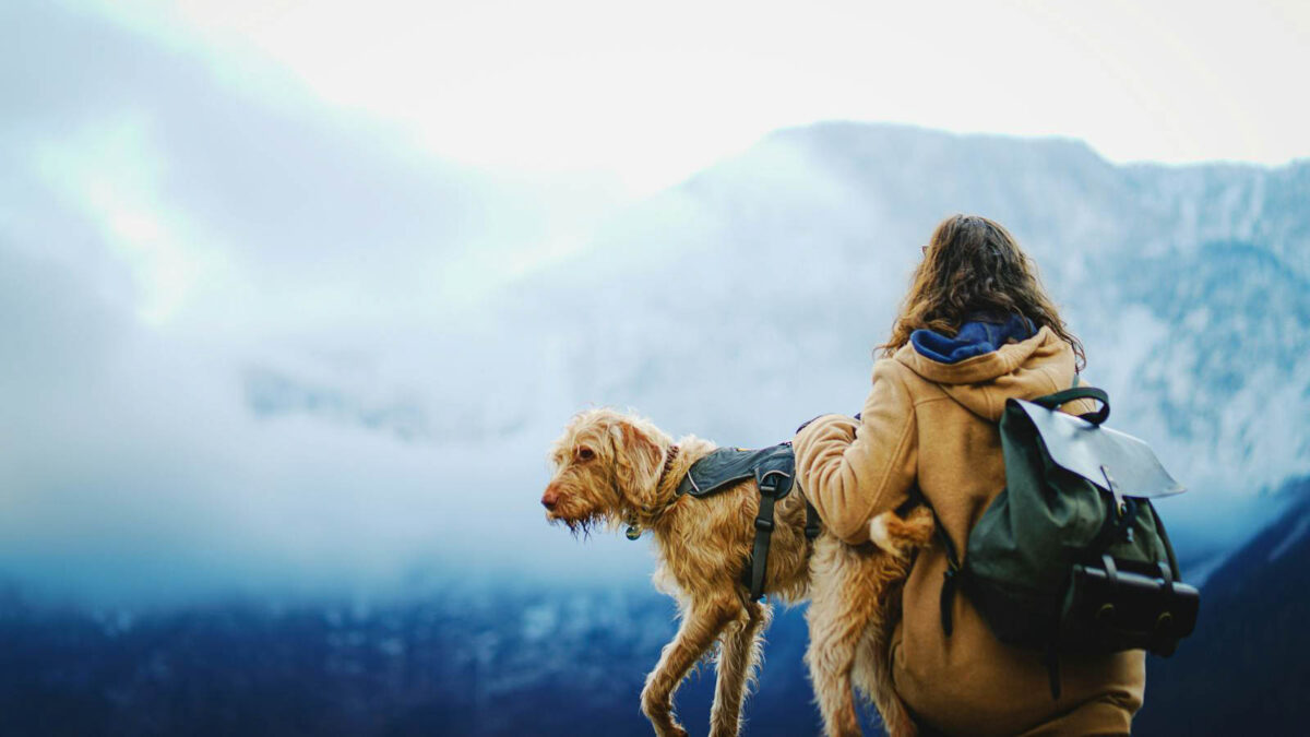 <p>Planning a hiking trip with your dog can be one of the most rewarding experiences you share together, but it’s not as simple as just hitting the trails. To make sure both you and your furry friend have a safe and enjoyable time, you’ll need to prepare properly. From checking trail rules to packing the right essentials, here are 11 practical tips to help you both get the most out of your outdoor adventure. Get ready to create some unforgettable memories with your four-legged buddy!</p>