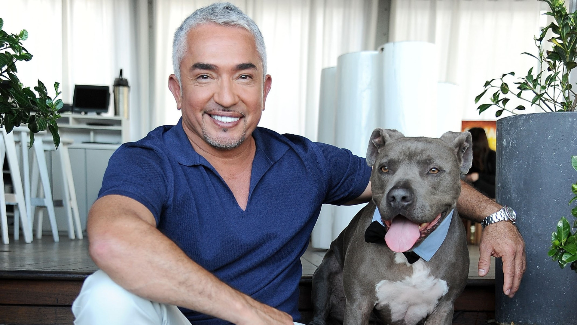 Tips and tricks from the dog whisperer, Cesar Millan