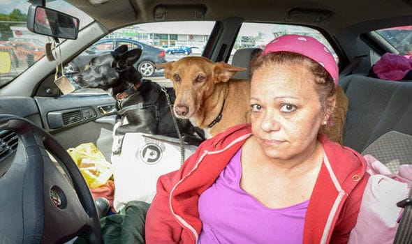 ¡lo que esta pobre mujer hace por sus perros merece el máximo respeto!