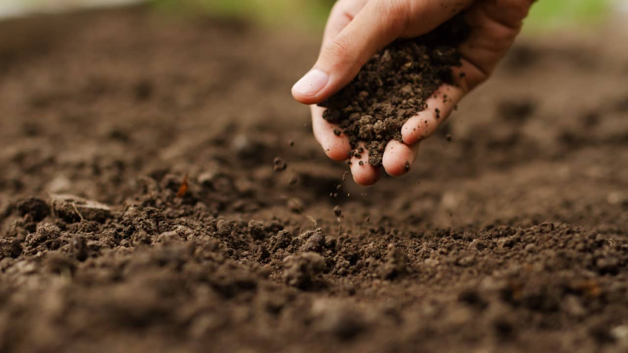 <p>On the surface, dirt collecting sounds boring and messy. However, the difference between dirt and sand in various locations, even perhaps just your lawn dirt versus your neighbor’s, can be fascinating. Comparing the different soil types, sand, and other ground materials can give you a fresh perspective.</p><p>People who enjoy this hobby typically carry small vials if a dirt collecting opportunity arises! You can display them on a shelf, categorize them, or even turn them into art. Seeing the difference in color, texture, consistency, and other properties proves that dirt is more interesting than it gets credit for.</p>