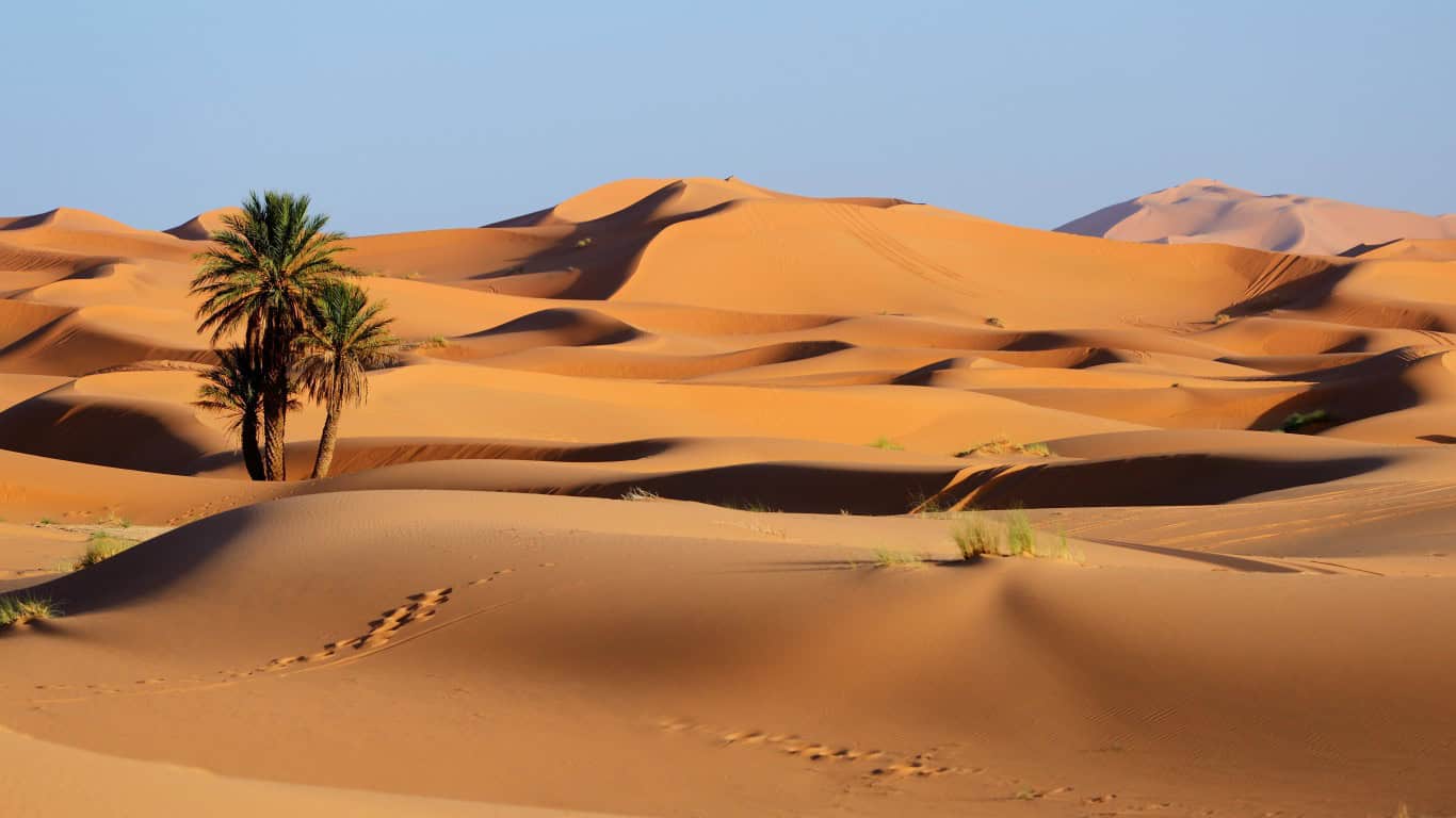 <p><strong>A:</strong> The Sahara Desert.</p>