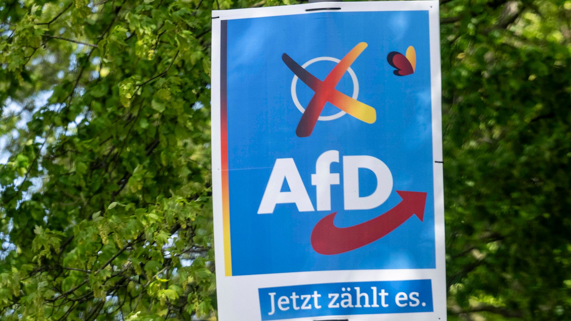 AfD Gegen Verfassungsschutz: Gericht Weist Hunderte Beweisanträge Der ...